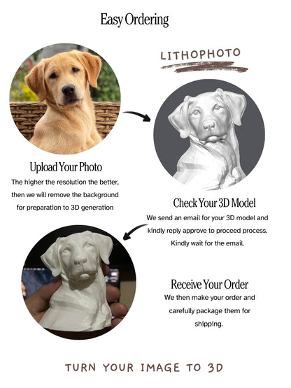 Turn Your Image to 3D