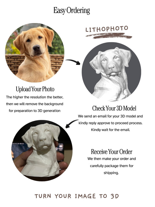 Turn Your Image to 3D