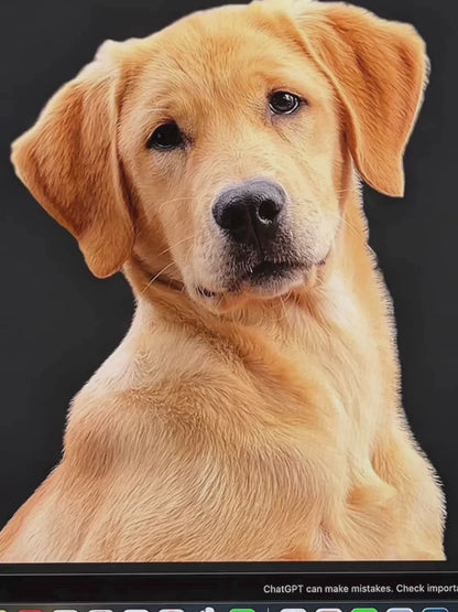 Turn Your Image to 3D